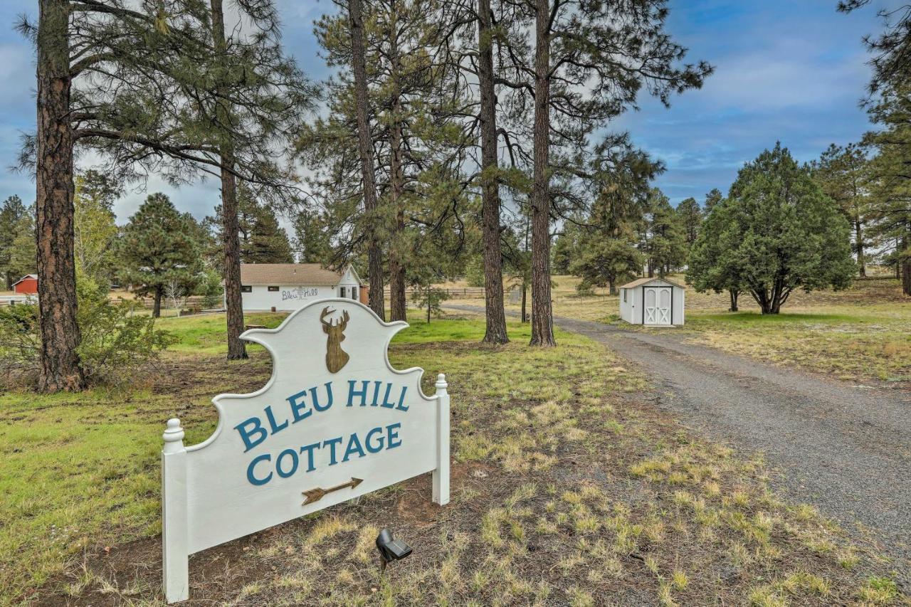 Ski Snow Bowl And Hike Cozy Flagstaff Cottage! Dış mekan fotoğraf